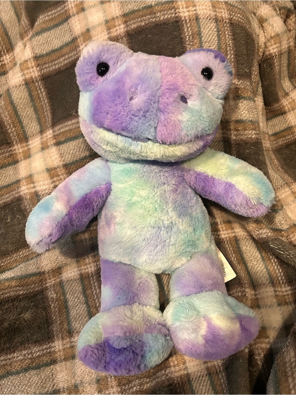 Build-A-Bear Tie-Dye Pastel Frog Plush - Purple & Mint